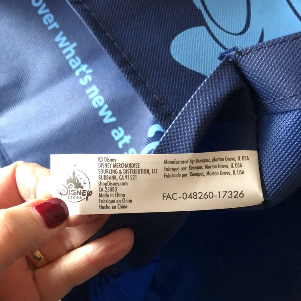 NWOT- Large Disneyland Tote